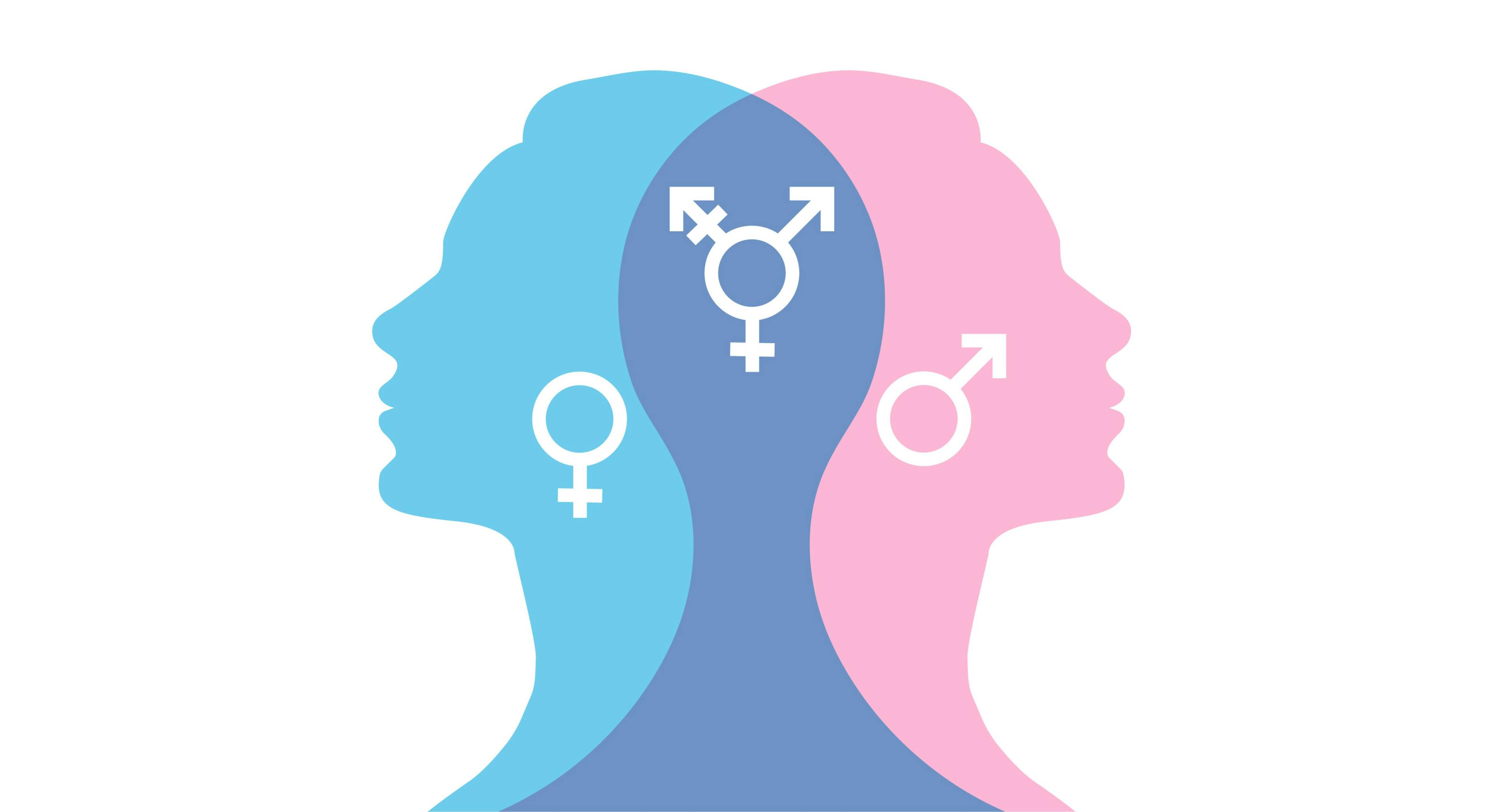 Symbols of the gender spectrum | Image credit: Olga Tsikarishvili – stock.adobe.com