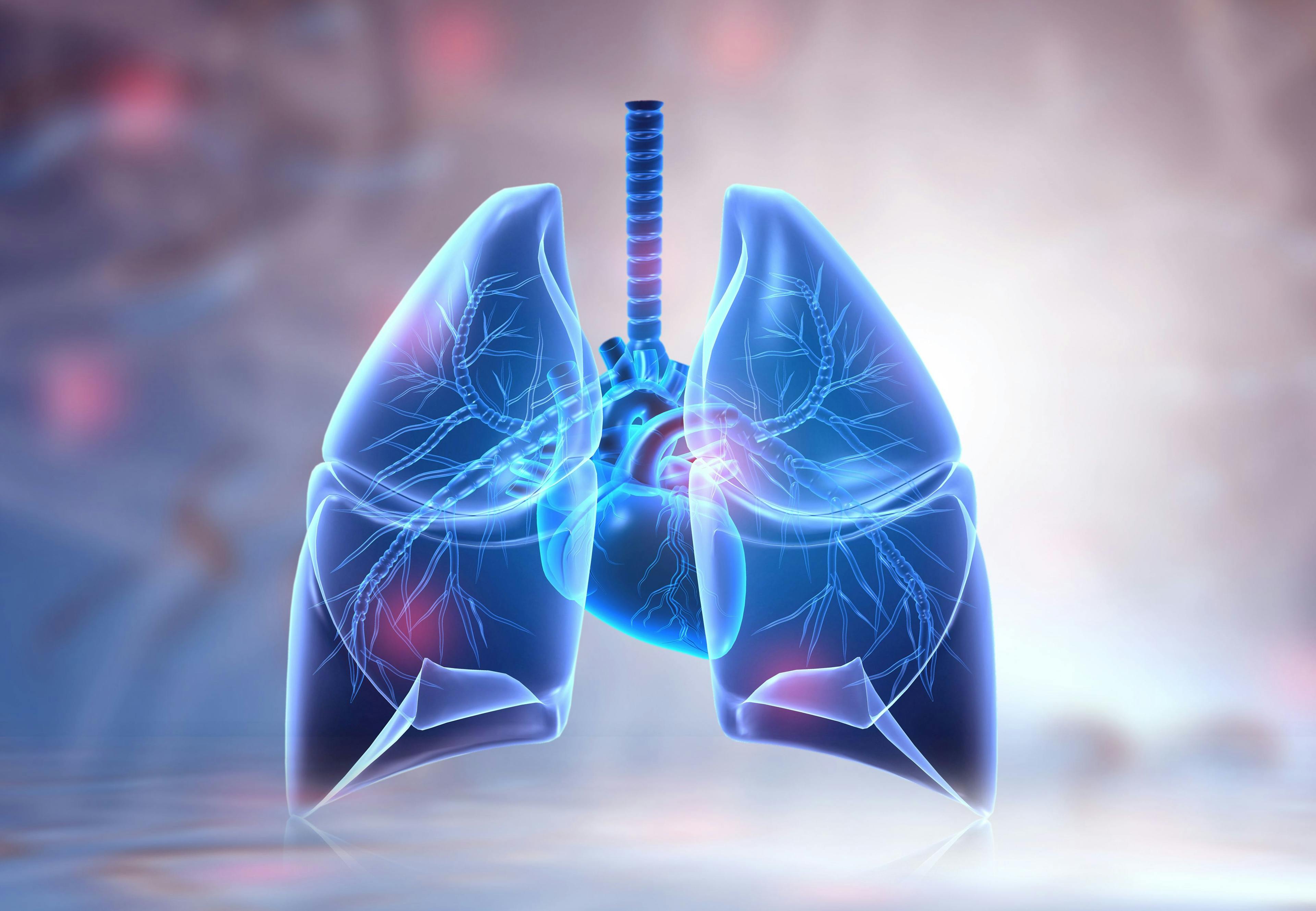 Lungs and Heart | Image credit: Rasi - stock.adobe.com