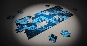Genetic Overlap Discovered for ADHD, Educational Struggles