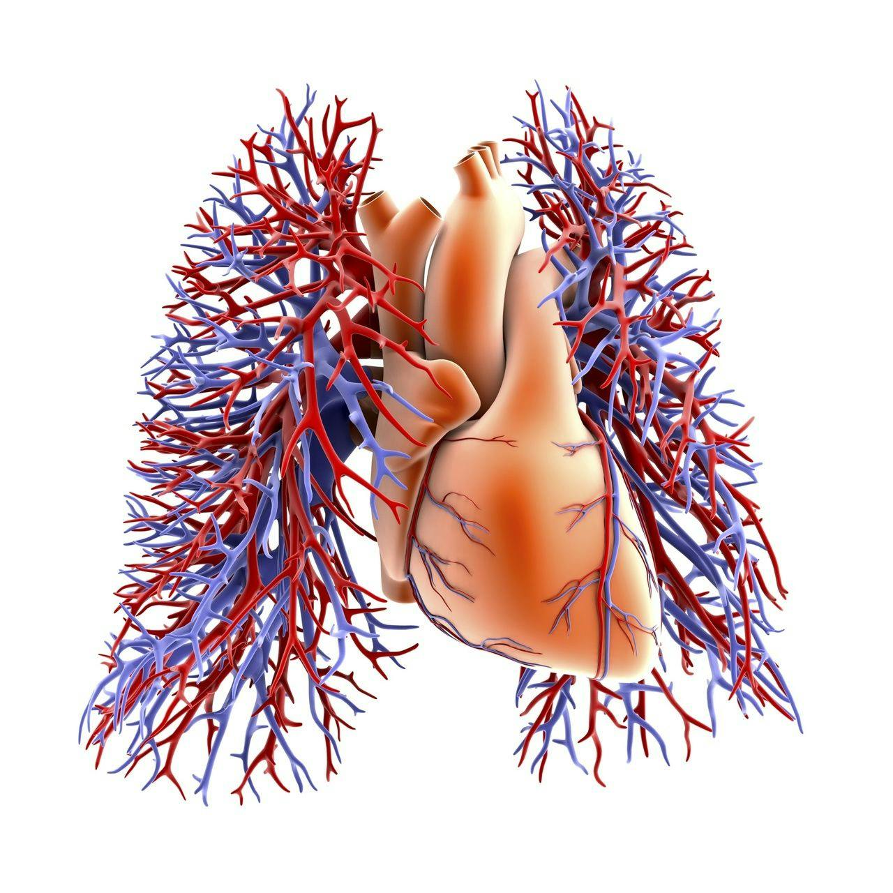 Understanding Clinical Considerations for Patients With Both COPD, Cardiovascular Disease