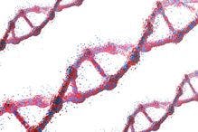 ctDNA Shows Utility as Predictive Biomarker for Pembrolizumab Therapy