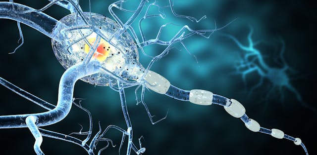 Neurologic Disease MS Concept | image credit: ralwel - stock.adobe.com