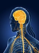 Cerebello-spinal tDCS Simulation Helps Reduce Neurodegenerative Ataxia Symptoms