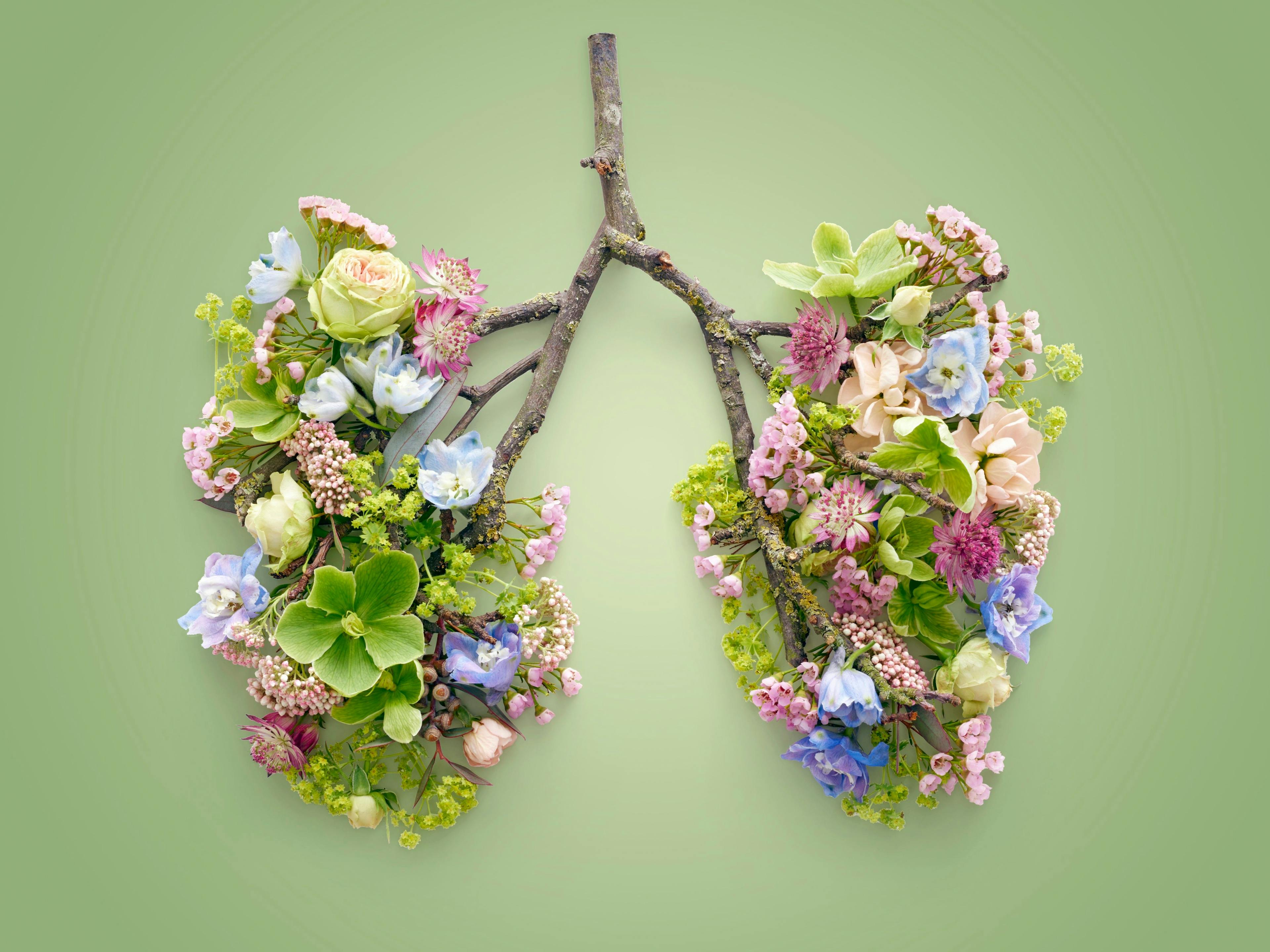 Spring flowers representing human lungs |  Science RF - stock.adobe.com
