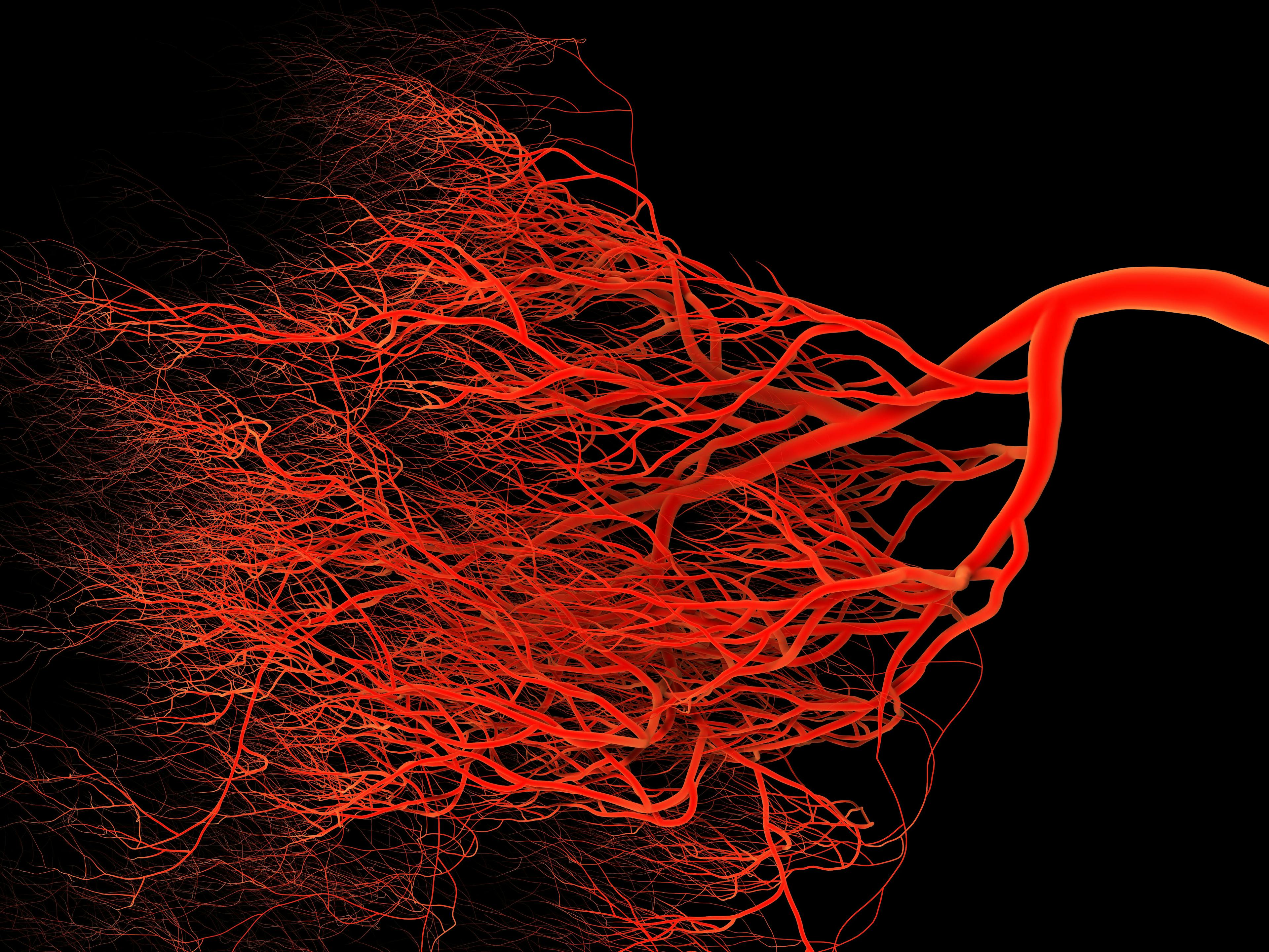 Graphic of blood vessels