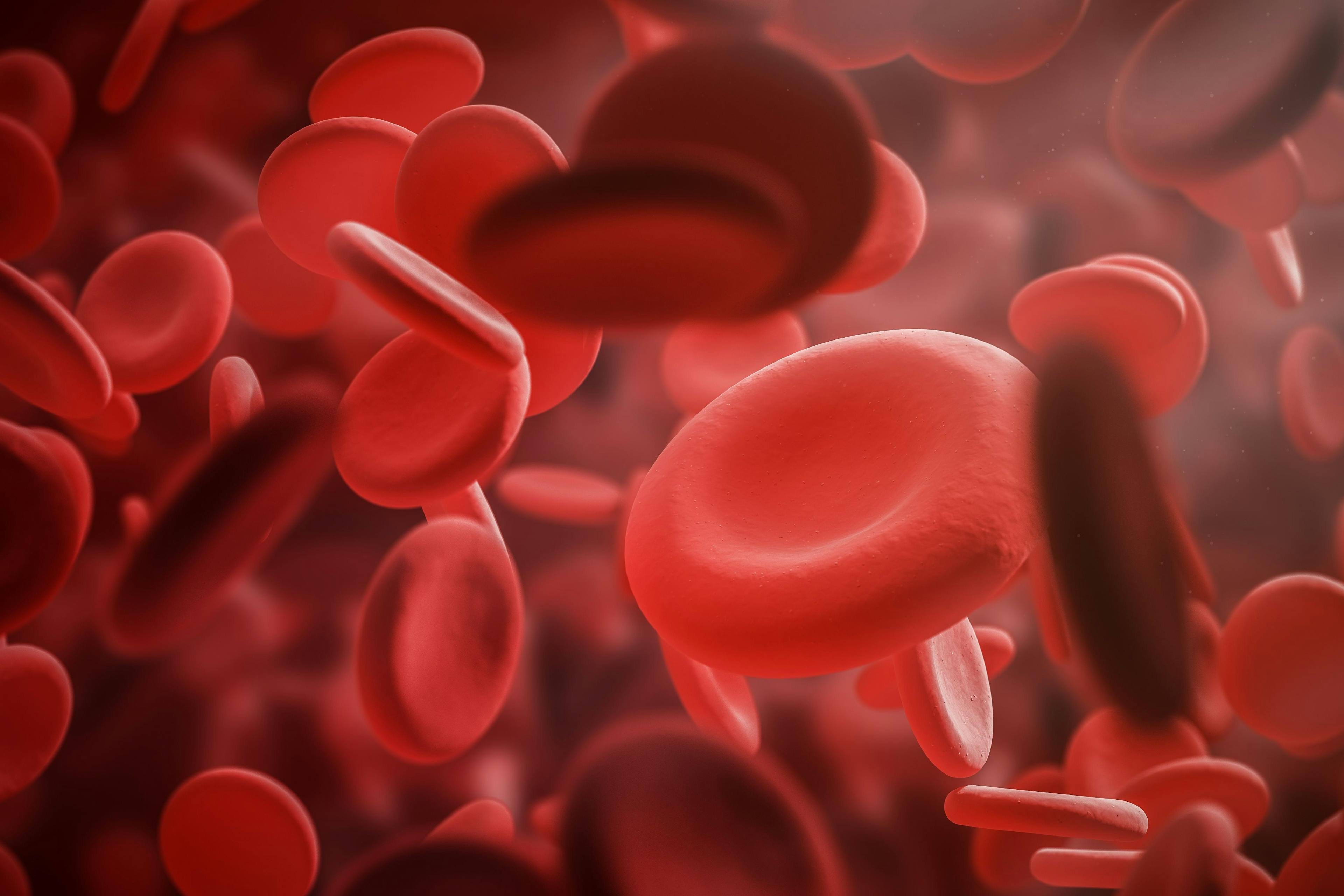 Red Blood Cell Concept | image credit: ImageFlow - stock.adobe.com