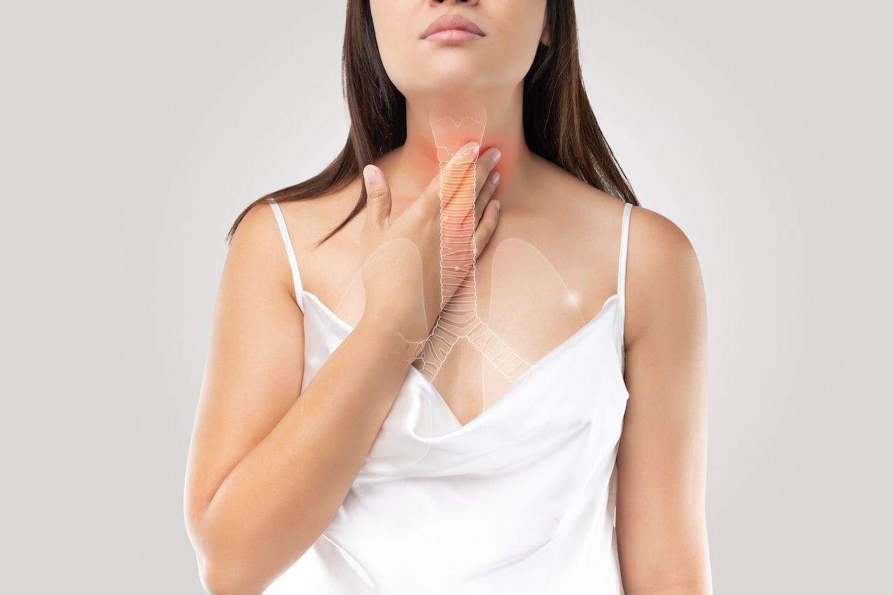 Bronchial or windpipe on the woman body and Bronchitis symptoms: © eddows - stock.adobe.com
