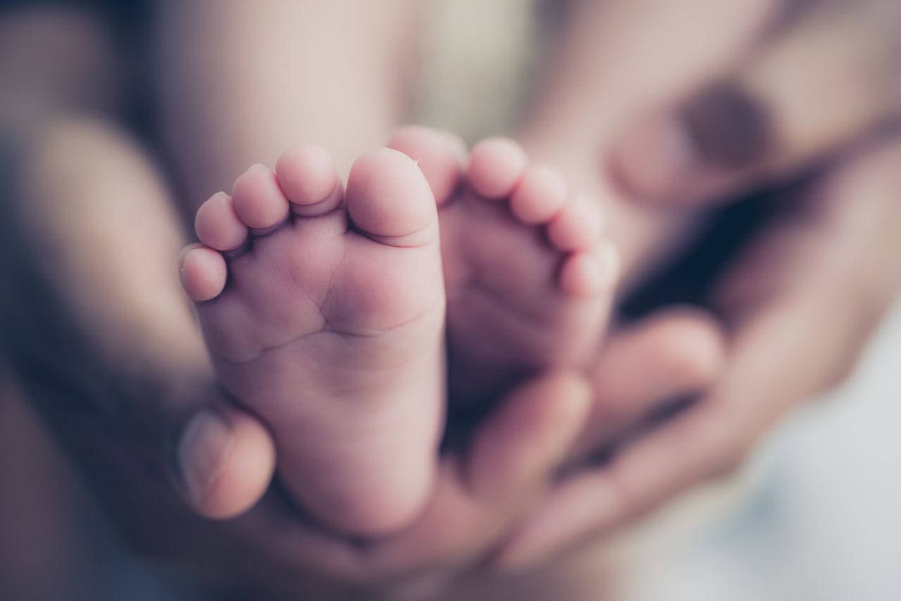 Baby feet in parent's hands.

Image credit: Simon Dannhauer - stock.adobe.com