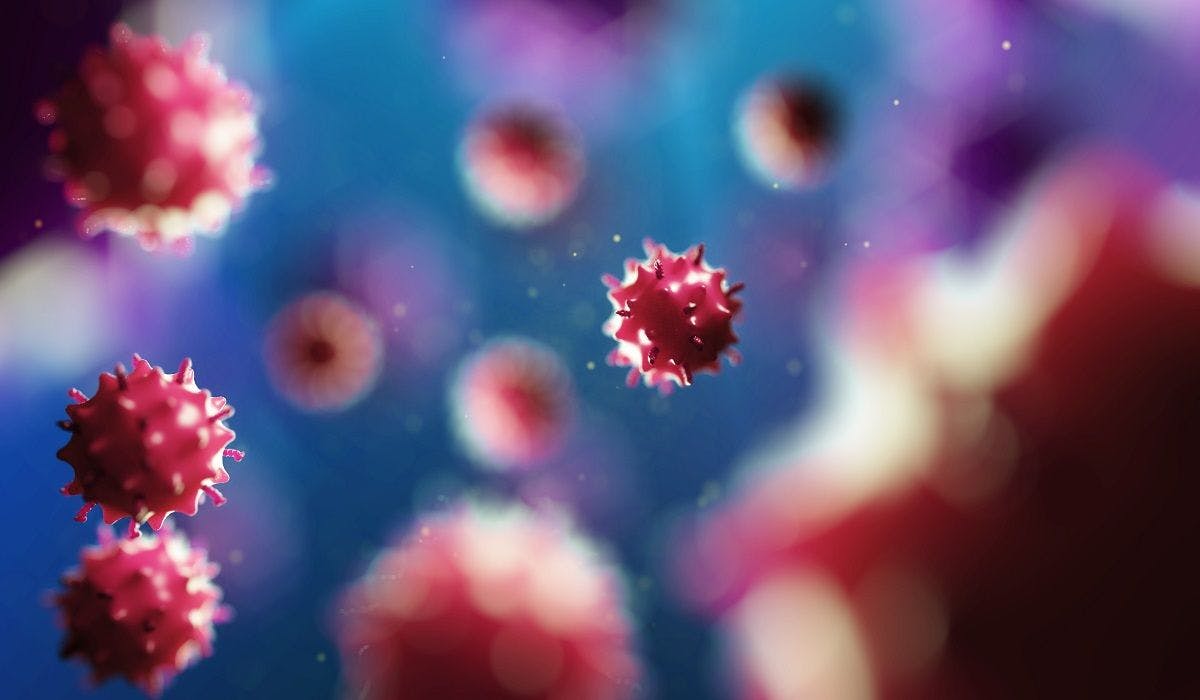 Reactivation of Hepatitis B After Ruxolitinib for MPN Hinges on Antivirals