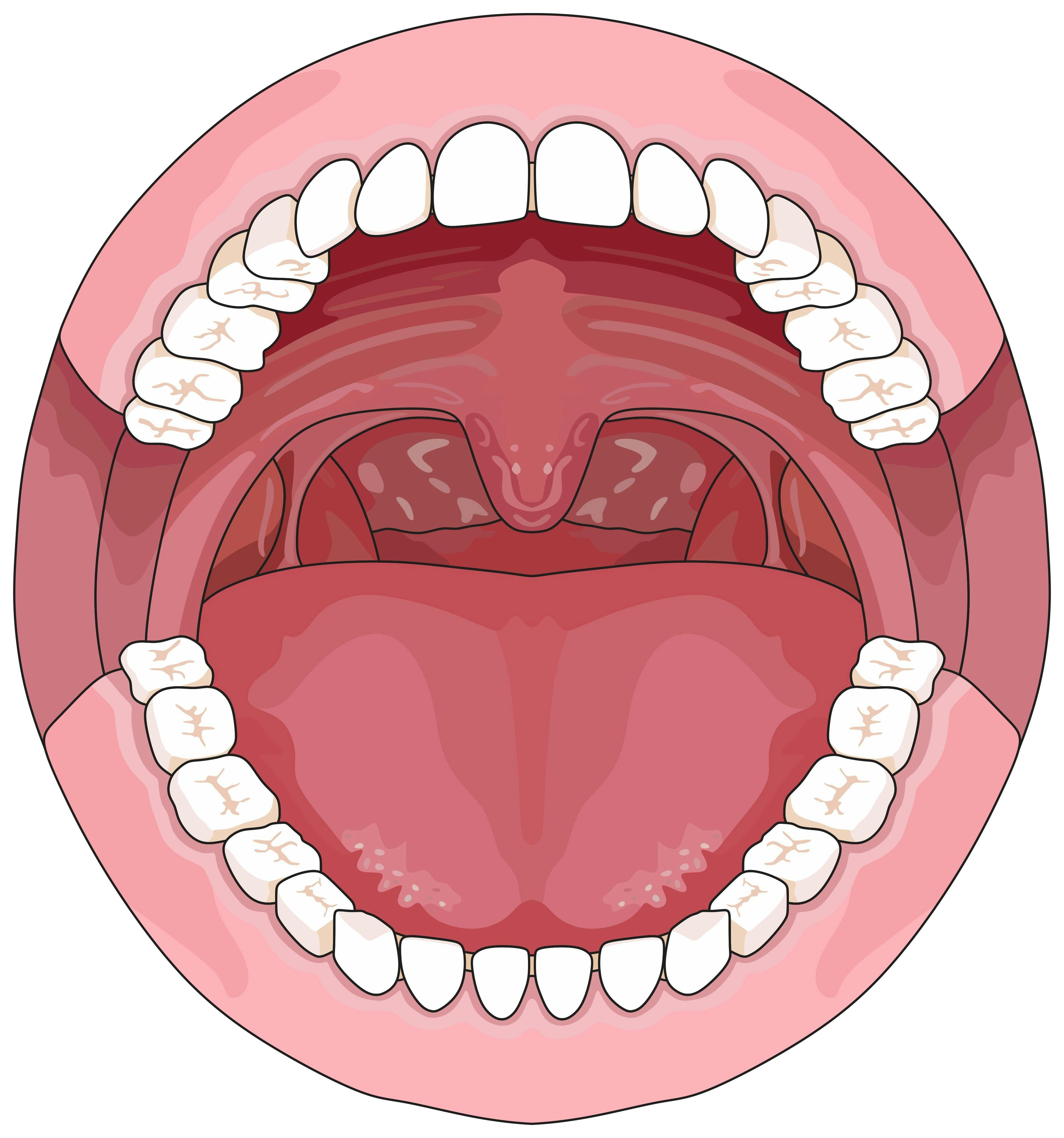 Mouth Illustration | image credit: udaix - stock.adobe.com