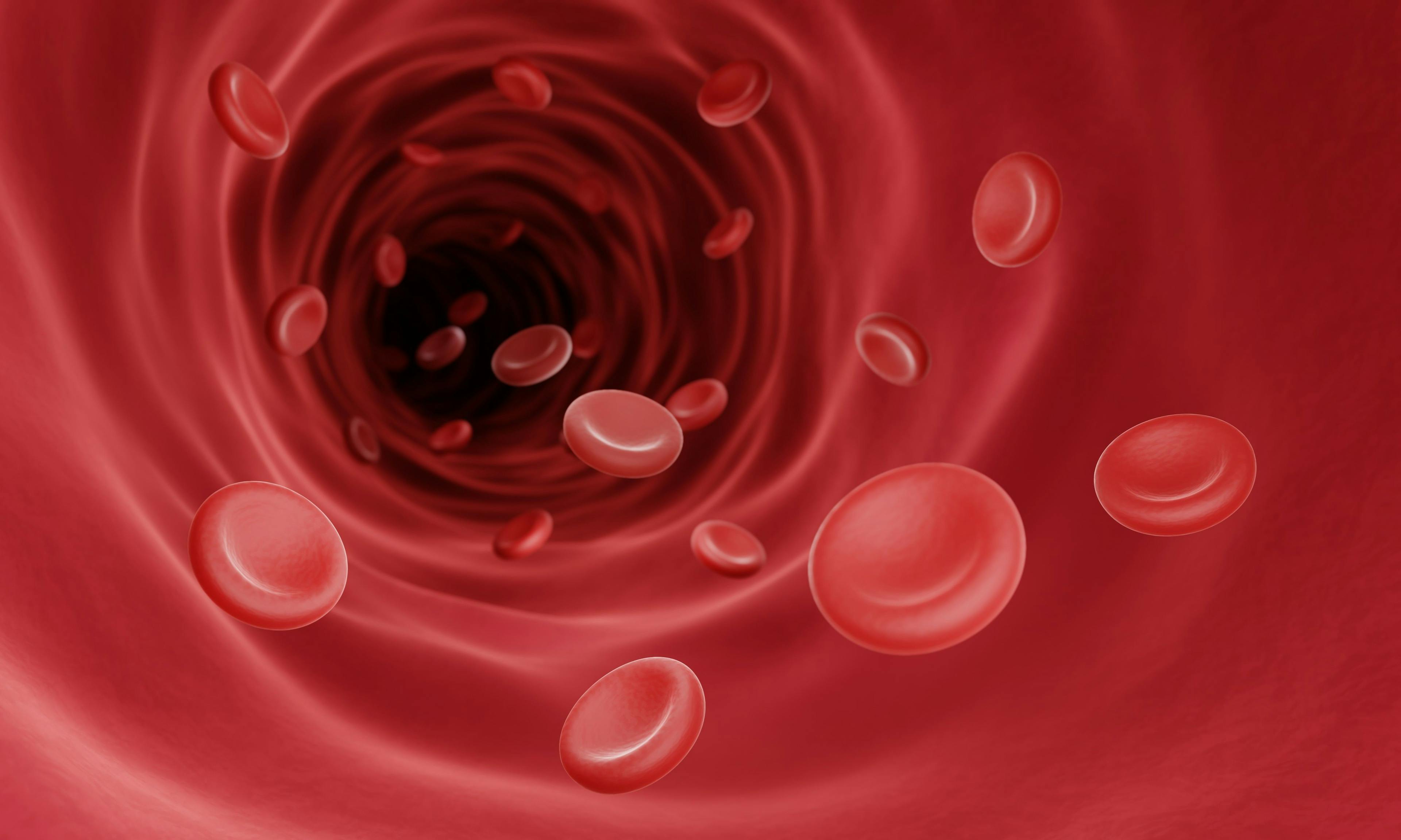 Red Blood Cells in Blood Vessel | image credit: Artur - stock.adobe.com