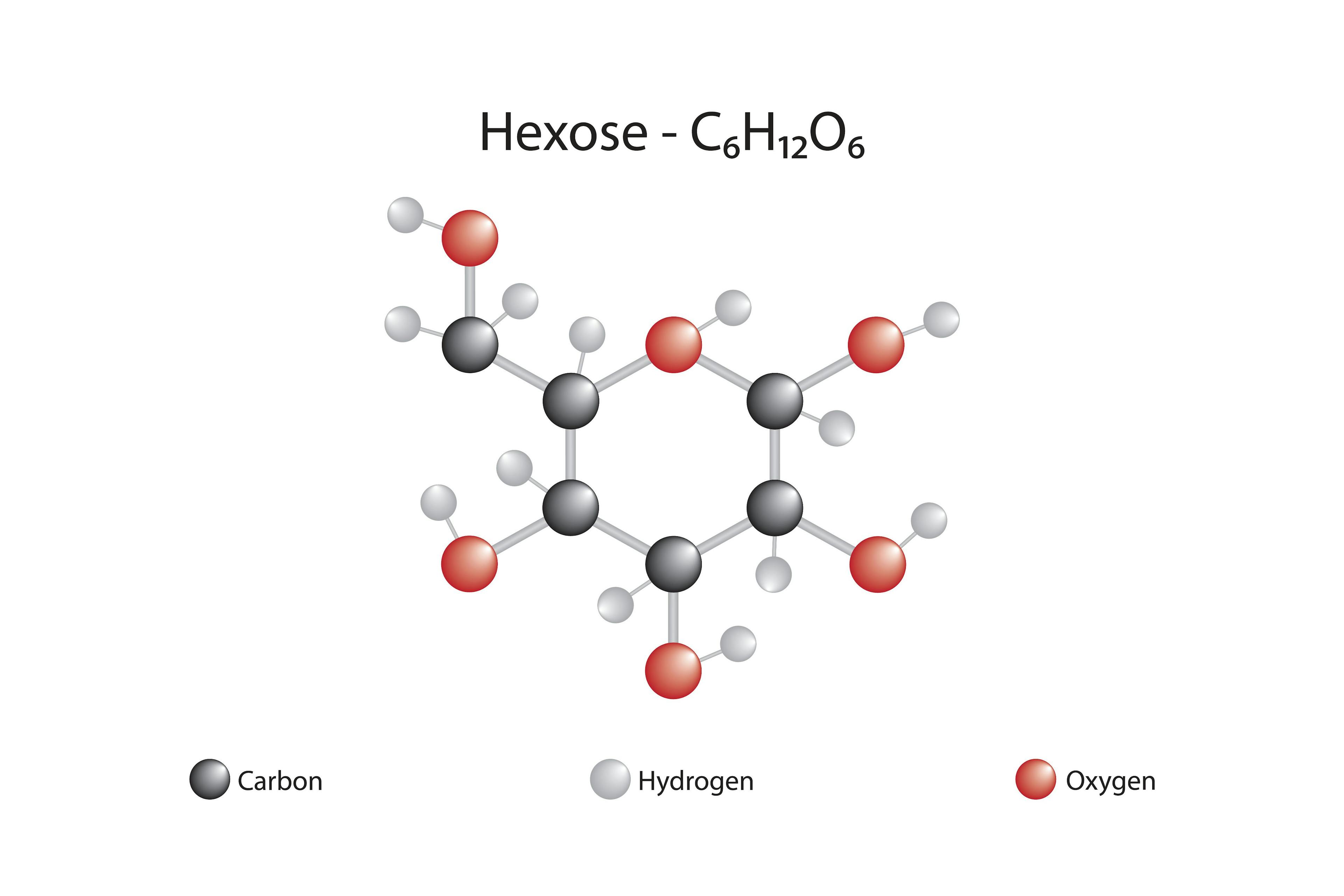 Molecular formula of hexose | Image credit: Firat - stock.adobe.com