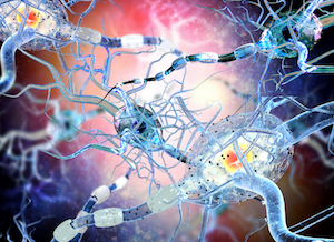 Siponimod Reduced Progression in Secondary Progressive Multiple Sclerosis in a Phase 3 Trial 